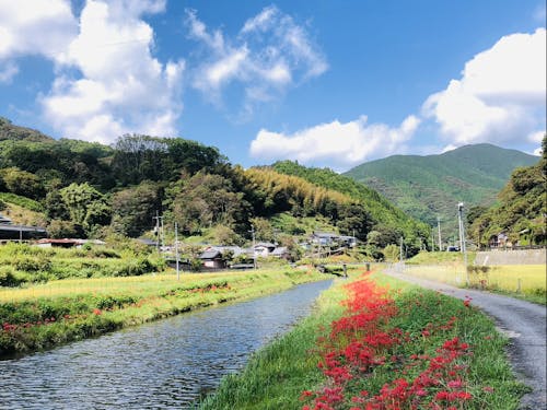 海、山、川、自然がそろってます。