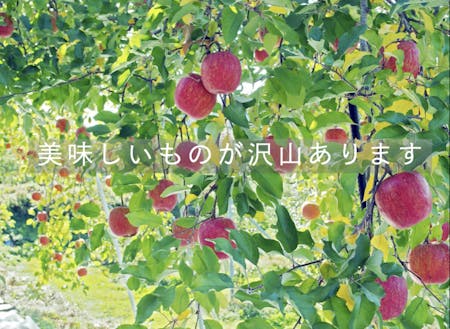 志賀高原の麓でフルーツがとっても美味しいです
