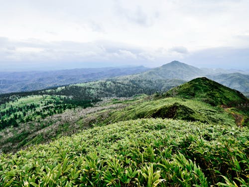 手つかずの自然溢れる中川町
