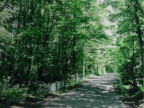軽井沢を環境と地域が共生する街へ