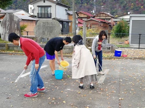 銀杏を拾っています