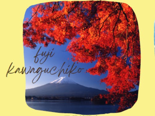 山梨県富士河口湖町といえば富士山