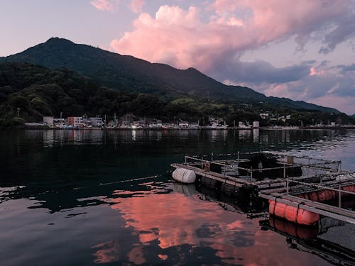 尾鷲港から天満を眺める