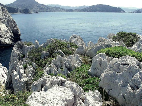 海辺の風景②〜由良町:白崎海洋公園(白崎海岸)〜