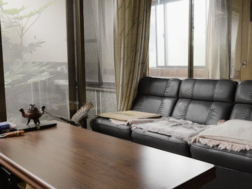 家の中ほどにあるサンルームのような場所。ここからお庭が見渡せます。