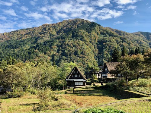 五箇山合掌造り