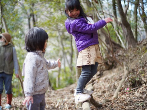 森のアスレチック