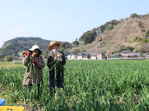 農業も盛んで美味しい食材が多く生産されています。