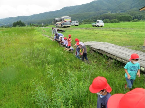 ハッチョウトンボ観察会