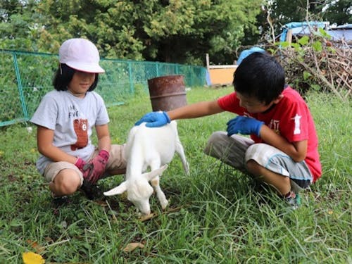 伊那市の小学校