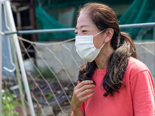 チヨちゃんの野菜