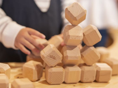 県木オリーブのおもちゃが香川からやってくる!