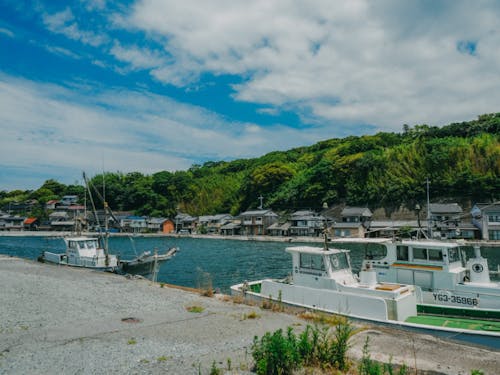 お店近くの浜崎の港。