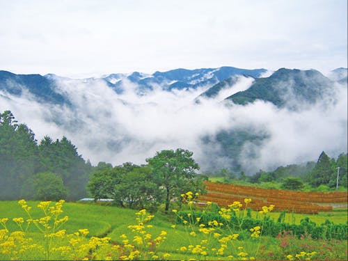 田辺市の移住のお話を伺います。