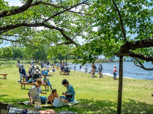 琵琶湖もすぐ。同社では一帯をピクニックをするように楽しんでもらう仕掛けも展開