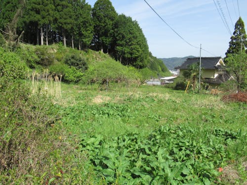 畑は家庭菜園には十分な広さ。お家キャンプも出来そう。