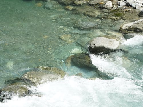 源流の村ならでは、川の水がとっても綺麗なんです。水道から出てくる水が本当に美味しくて、びっくりします。集落は川に近い集落もあれば、山の上の集落もありさまざまです。