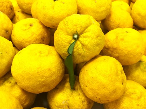 目が覚めるような黄色を待ち望む