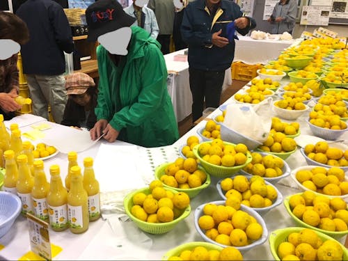 今年はどれくらい柚子が並ぶか