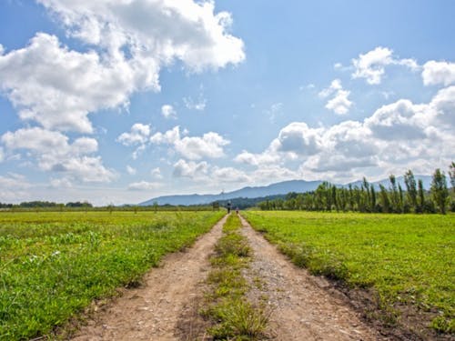 ソラノネ食堂 (photo by KAWASE)