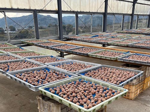 梅農家さんの暮らしを体験できます