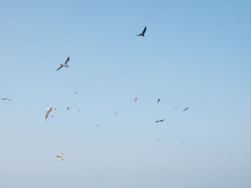 漁船から見た空