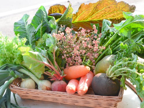 小林産の新鮮な野菜