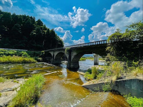 焼酎仕込み体験蔵元近くの石橋