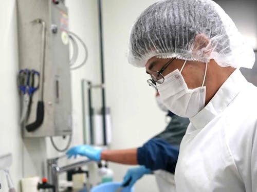 水産加工場の風景