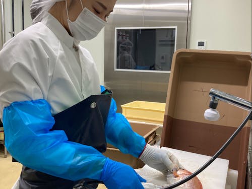 水産加工場の風景