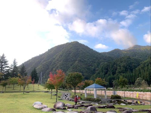 すぐにこんな景色と出会えるので毎日癒されてます