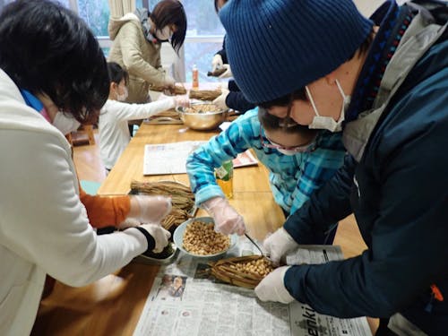 種蒔から始めて、収穫した大豆を「わらつと」に入れていくと…いよいよ納豆らしき姿に!