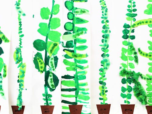 自分たちで育てたスナップエンドウを表現した絵