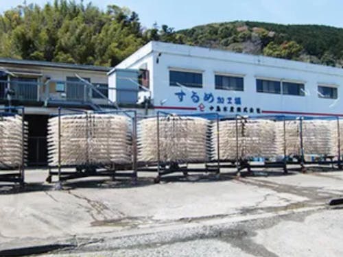 乾燥の工程。 イカが回る風景が話題になり、今や地域の名物に。