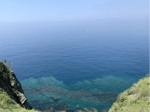 手付かずの自然が残る対馬。居るだけで癒される、そんな場所です。