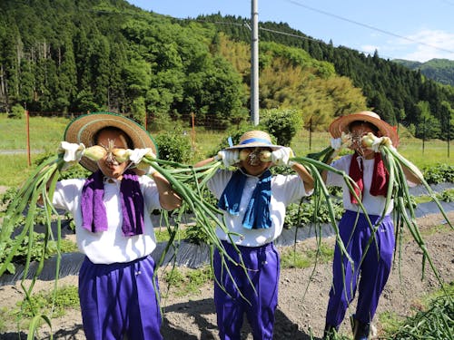 修学旅行の民泊受け入れ（農業体験）