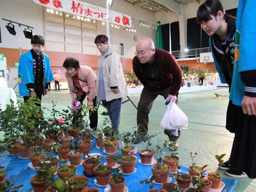 中学生による椿の鉢植え販売の様子
