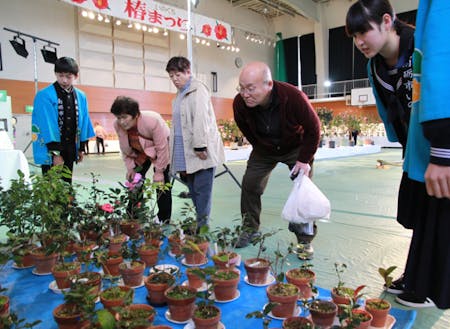 中学生による椿の鉢植え販売の様子