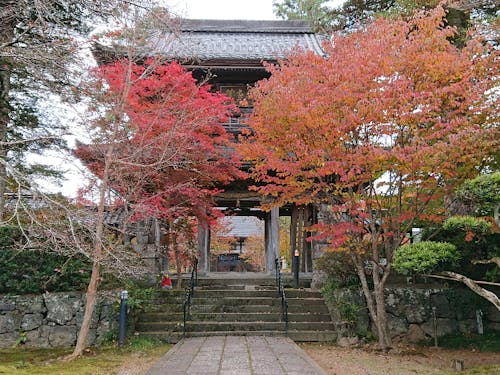 地域の魅力「隆国寺」
