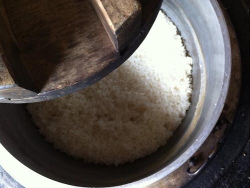 採れたての新米!ご堪能下さい!!