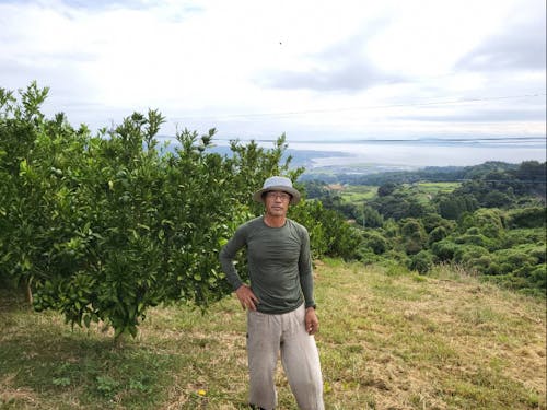 眼下に見えるのは穏やかな有明海。ミカン畑には心地よい海風が吹きます