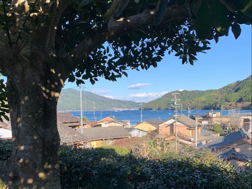 賀田から見える海