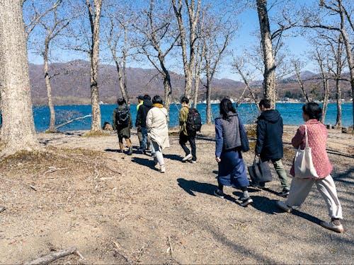 視察研修の様子