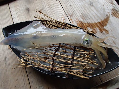 活イカの造りは絶品