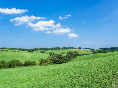 大野に広がる高原の風景