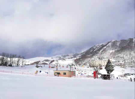 冬は雪景色❄(写真は「ハチ高原スキー場」です)