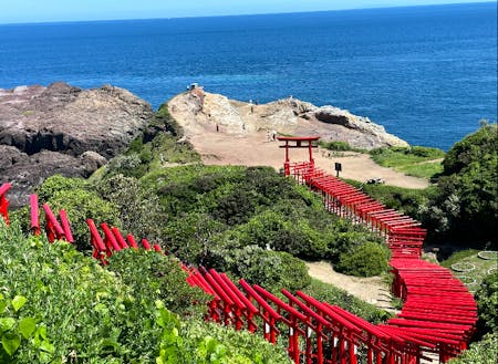米国SNN「日本の美しい景色31選」に選ばれた元乃隅神社