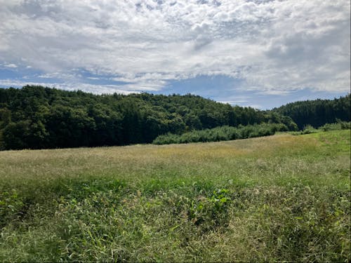 自然がたくさんな飯綱町