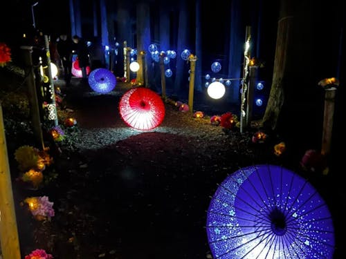 4日の夜は、ライトアップされます