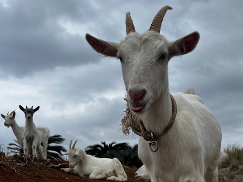 一回来てみるのもありだめぇ~